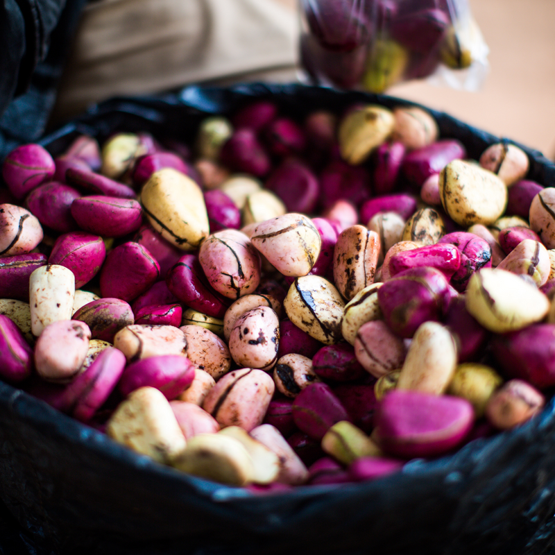Authentic Sicilian Cola - Box n° 4 Bottles