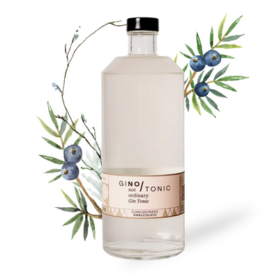 GiNo Alcohol Free Gin