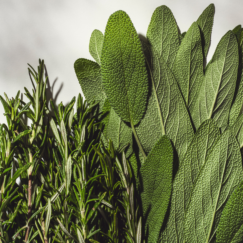 Cimbro Cheese Refined with Sage and Rosemary