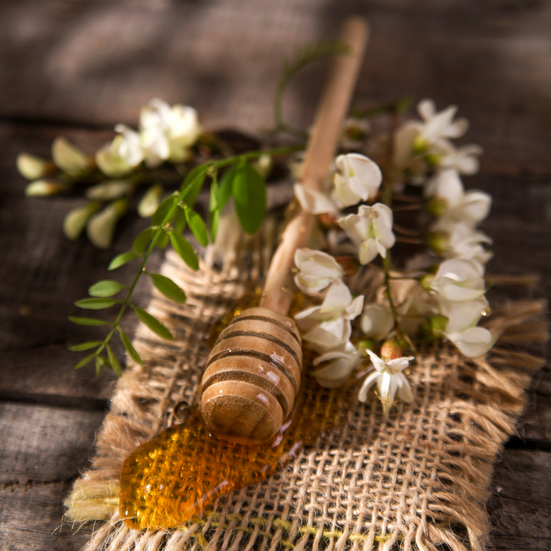 Italian Acacia Honey