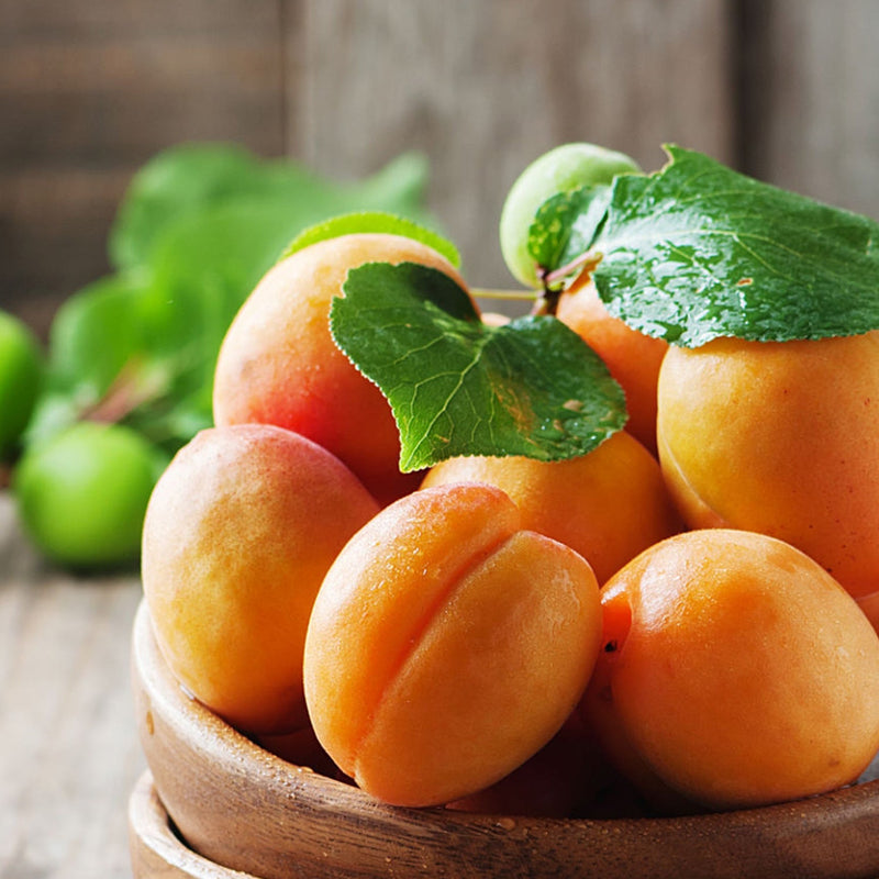 apricot