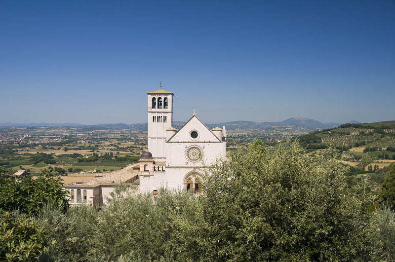 DOP Umbria MARFUGA (3 bottles)