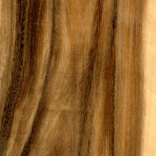Acacia Chopping Board - Parmigiano Reggiano branded